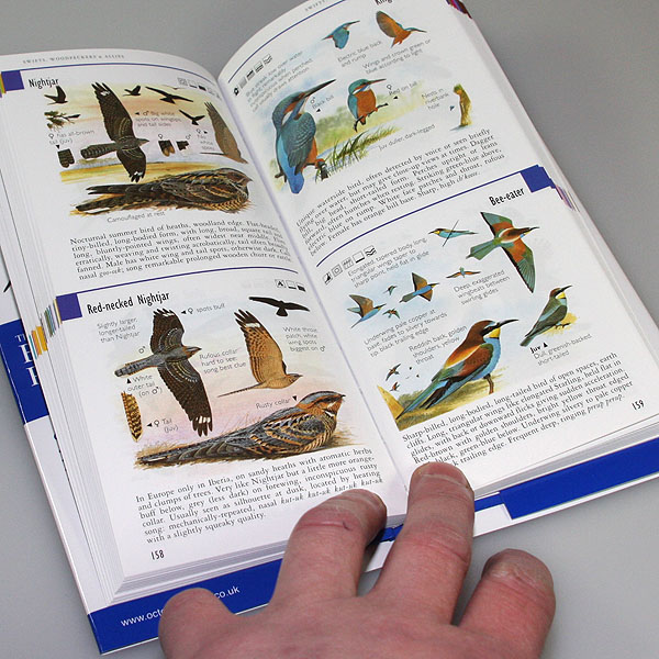 The Mitchell Beazley Birdwatcher's Pocket Guide by Hayman & Hume